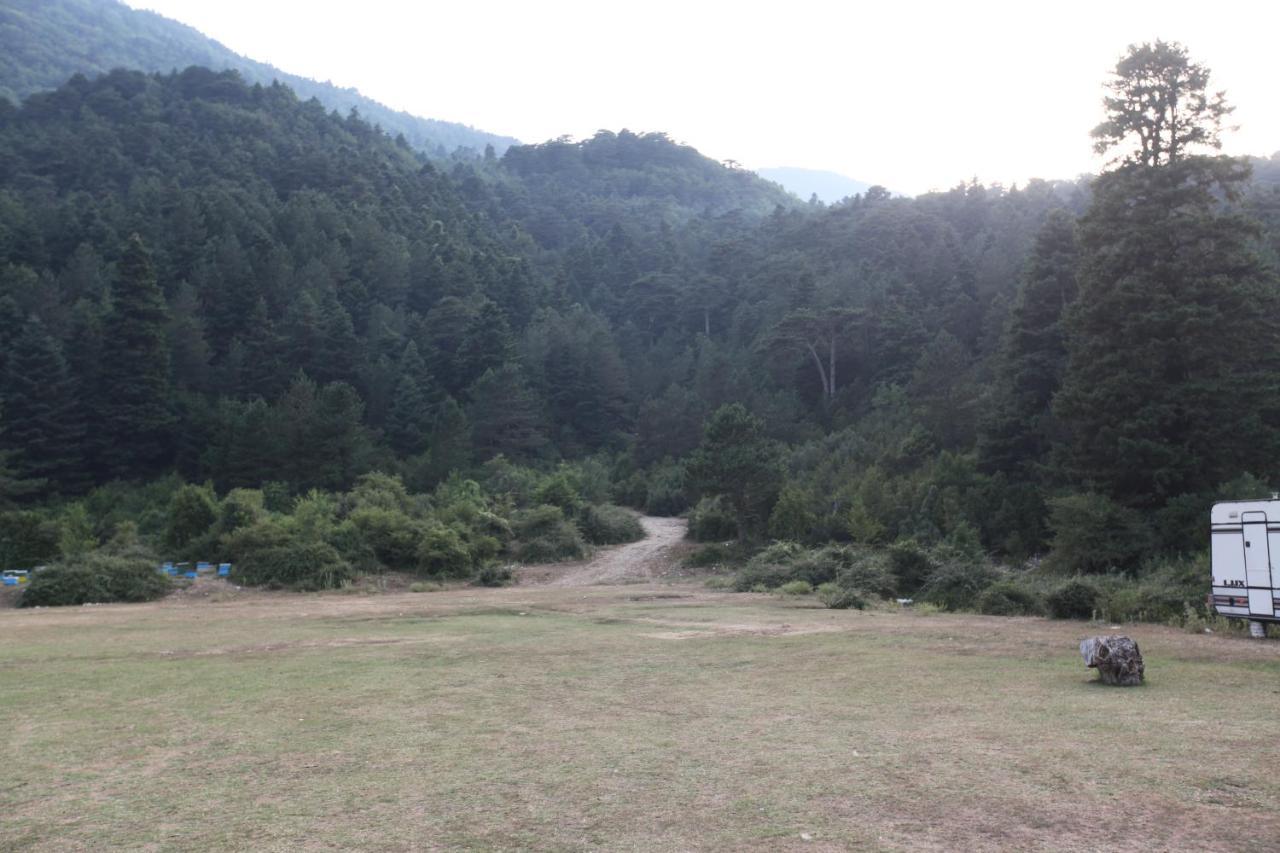 Hamiti Camping Center Dukat 외부 사진