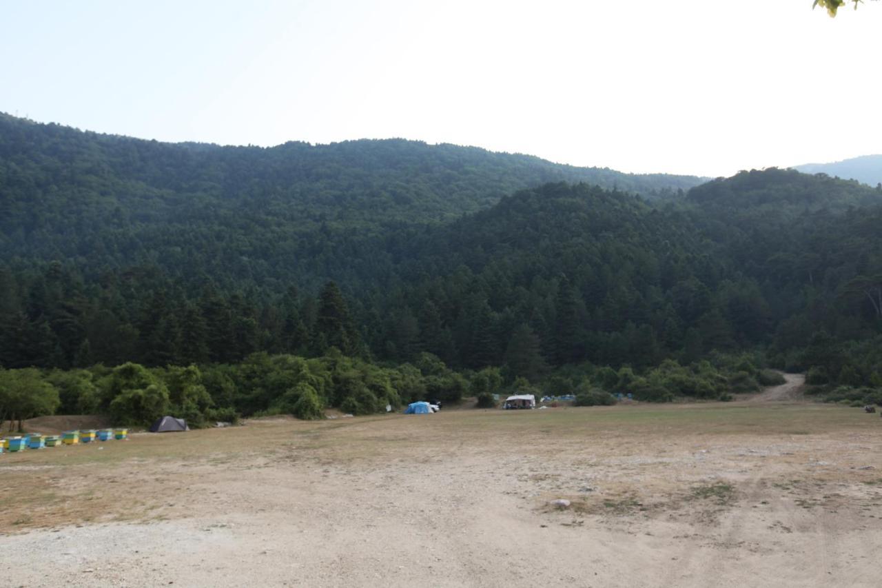 Hamiti Camping Center 호텔 Dukat 외부 사진