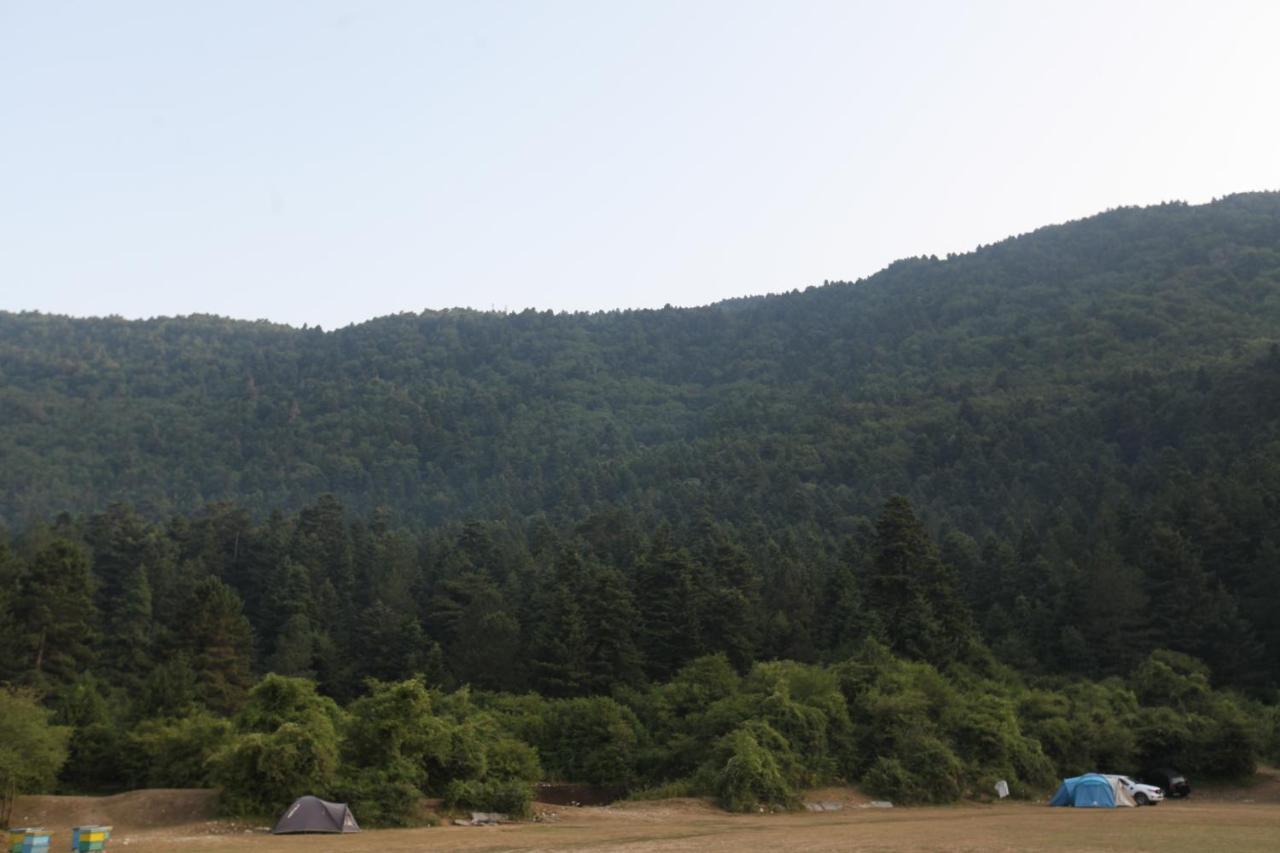 Hamiti Camping Center 호텔 Dukat 외부 사진