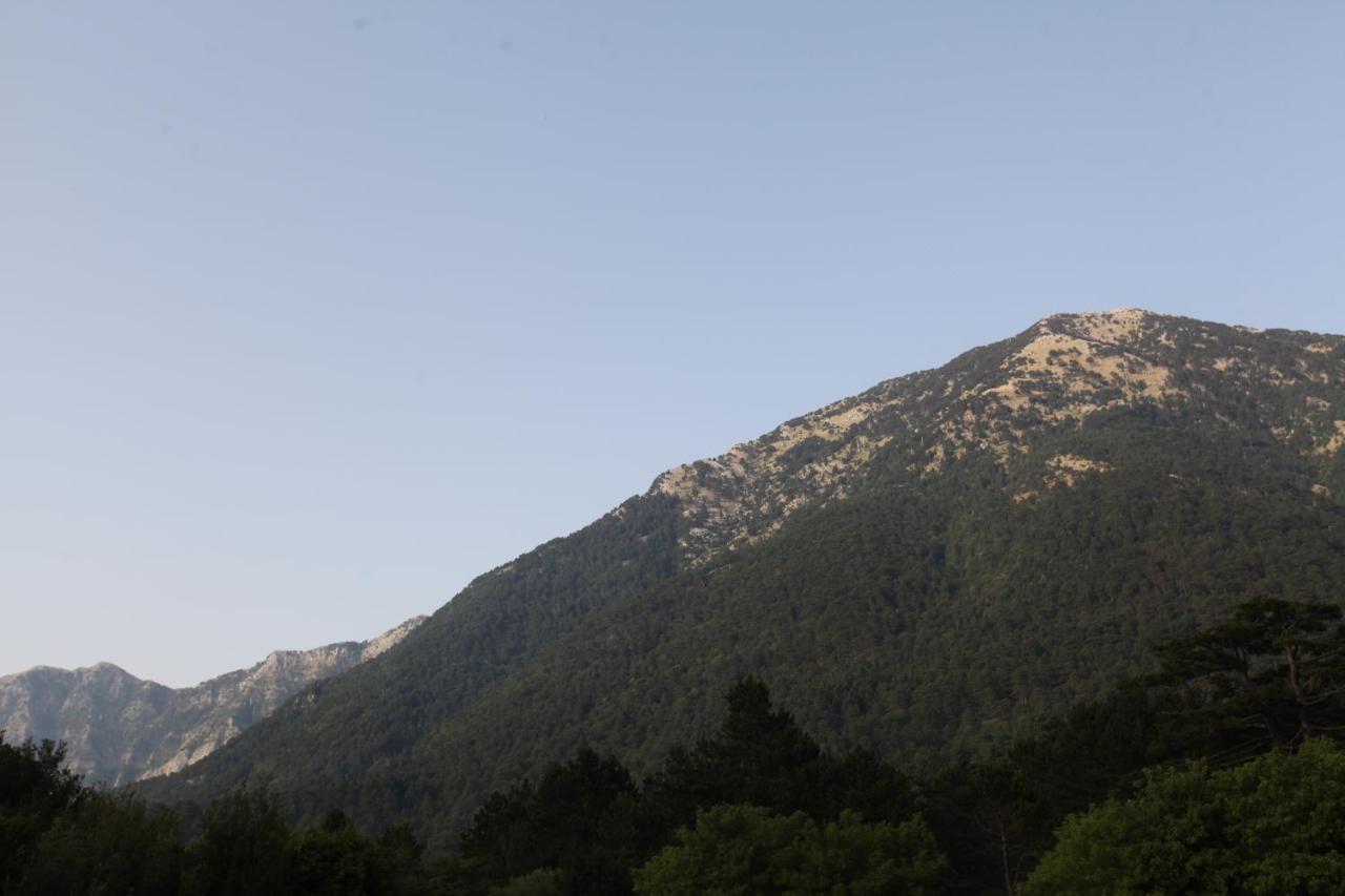 Hamiti Camping Center Dukat 외부 사진