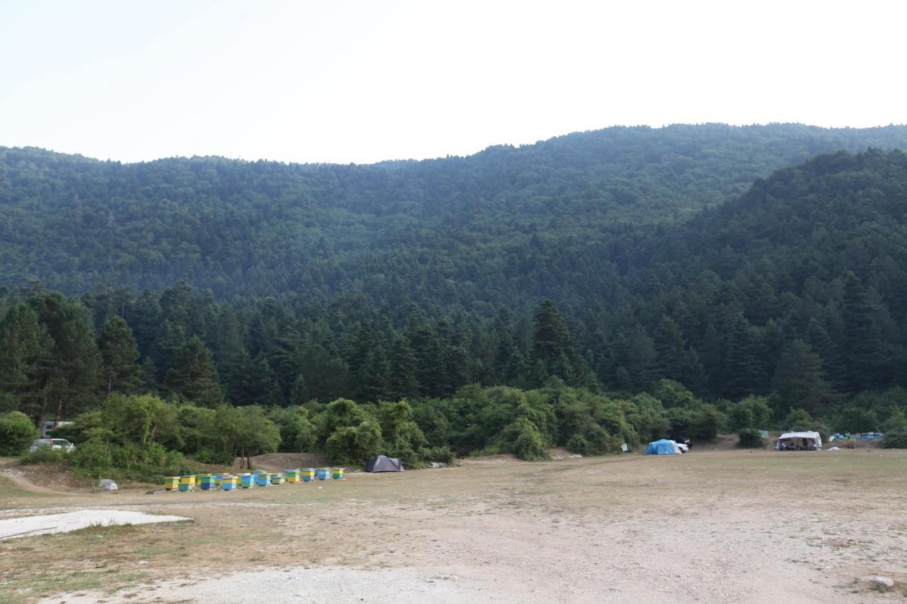 Hamiti Camping Center 호텔 Dukat 외부 사진