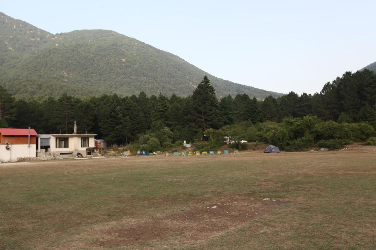 Hamiti Camping Center 호텔 Dukat 외부 사진